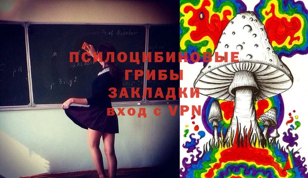 мдпв Абдулино